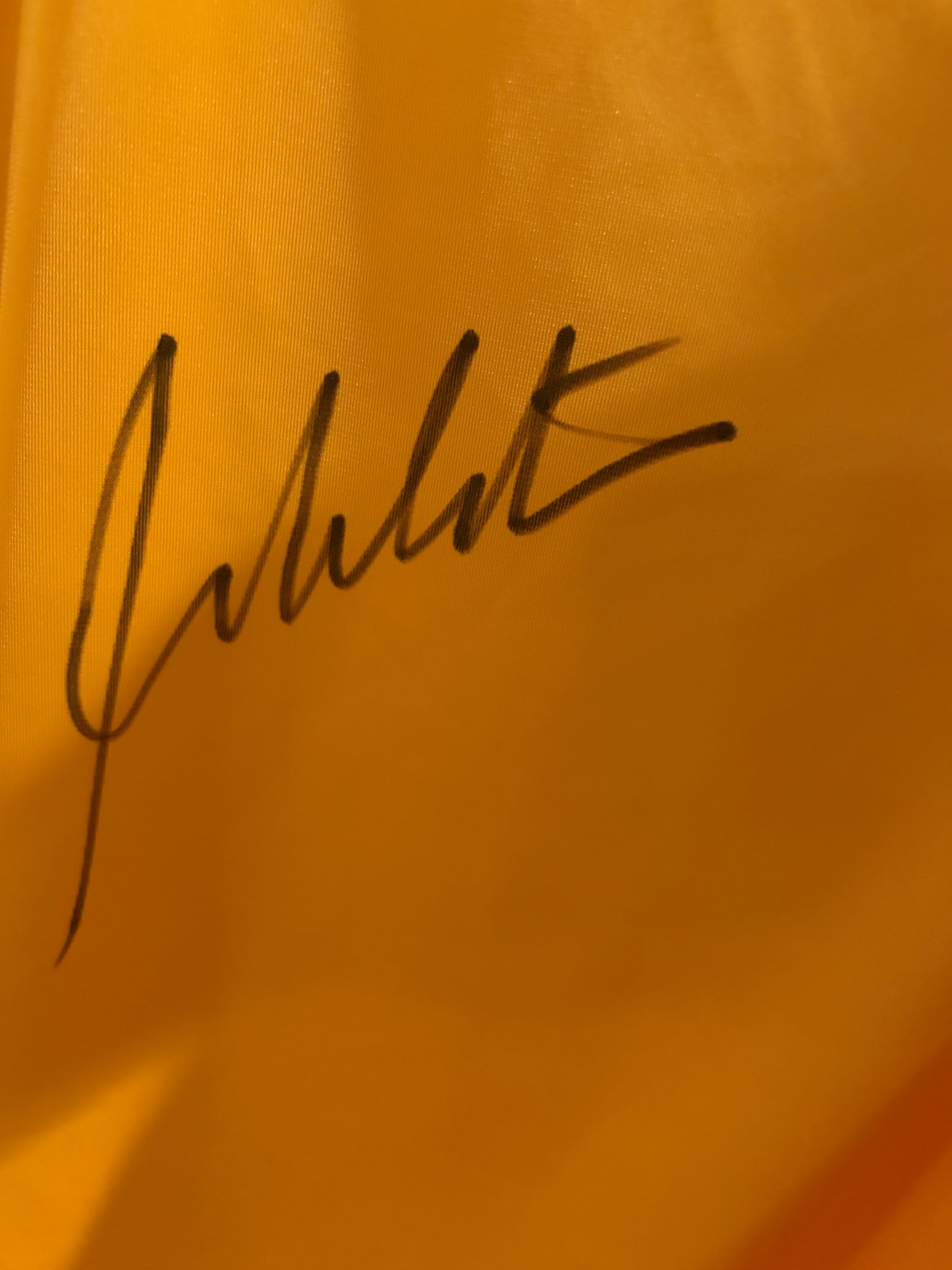 Star Trek - William Shatner Autographed Shirt/Uniform/Jersey